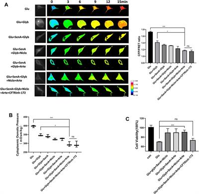 Protein nanoparticles induce the activation of voltage-dependent non-selective ion channels to modulate biological osmotic pressure in cytotoxic cerebral edema